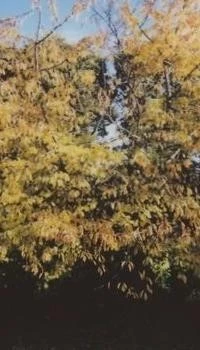 Микрозайм на карту мгновенно без фото